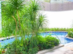 8 Saint Thomas (D9), Condominium #424971081